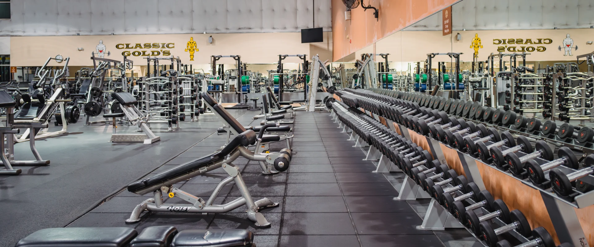 Dumbbell area at Gold's Gym Austin (Bee Caves) featuring rows of neatly arranged dumbbells on angled racks. Adjacent benches provide workout space, with mirrored walls reflecting the equipment and creating an expansive view of the gym. Strength training machines and weight racks are visible in the background, accompanied by Gold's Gym branding.