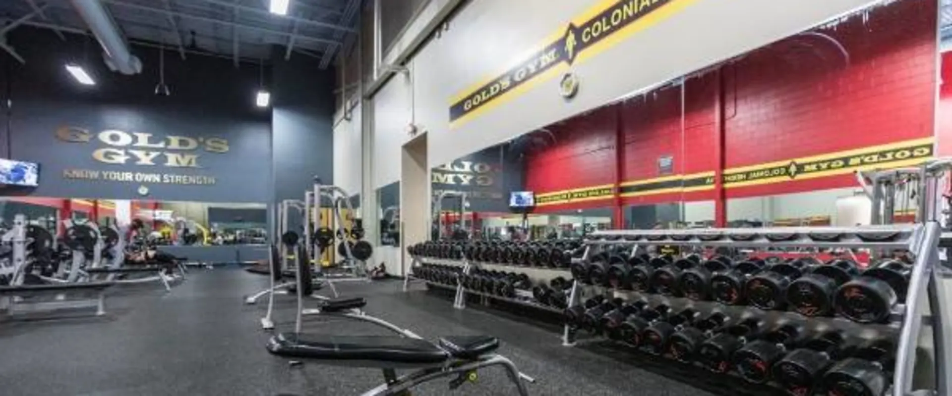 Showcase of variety of free weights found at Colonial Heights gym near me