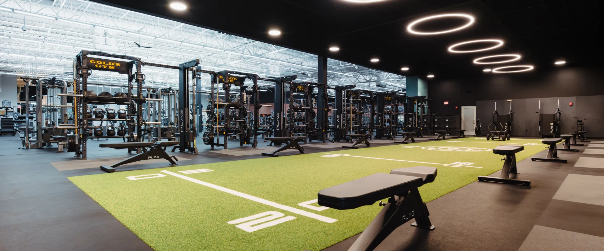 A spacious training area at Gold's Gym featuring turf lanes, benches, functional training racks, and modern circular lighting under a high ceiling.