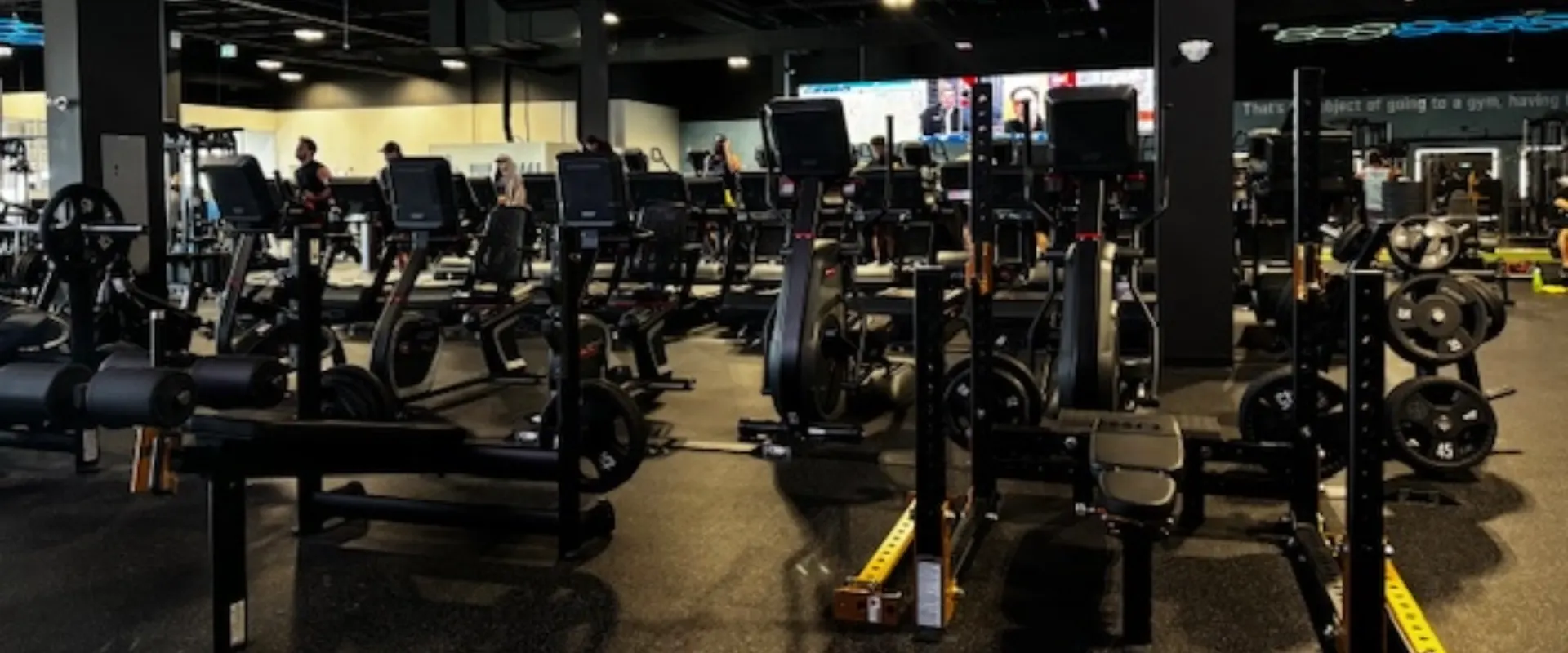 Cardio equipment at Gold’s Gym in Buffalo Run, Alberta, featuring rows of stationary bikes, recumbent bikes, and treadmills with digital screens. The space is accented by dark flooring and overhead lighting, with plate-loaded machines and free weights visible in the background. Gym members are engaged in workouts, adding energy to the open, modern layout.