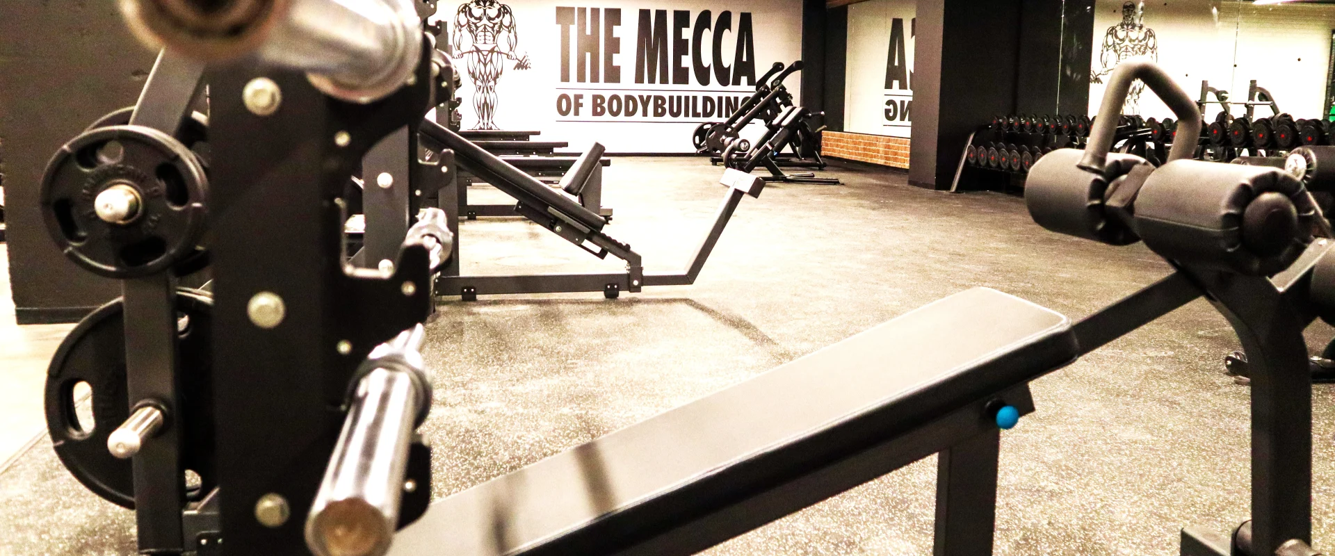 Free Weight and Strength Area
