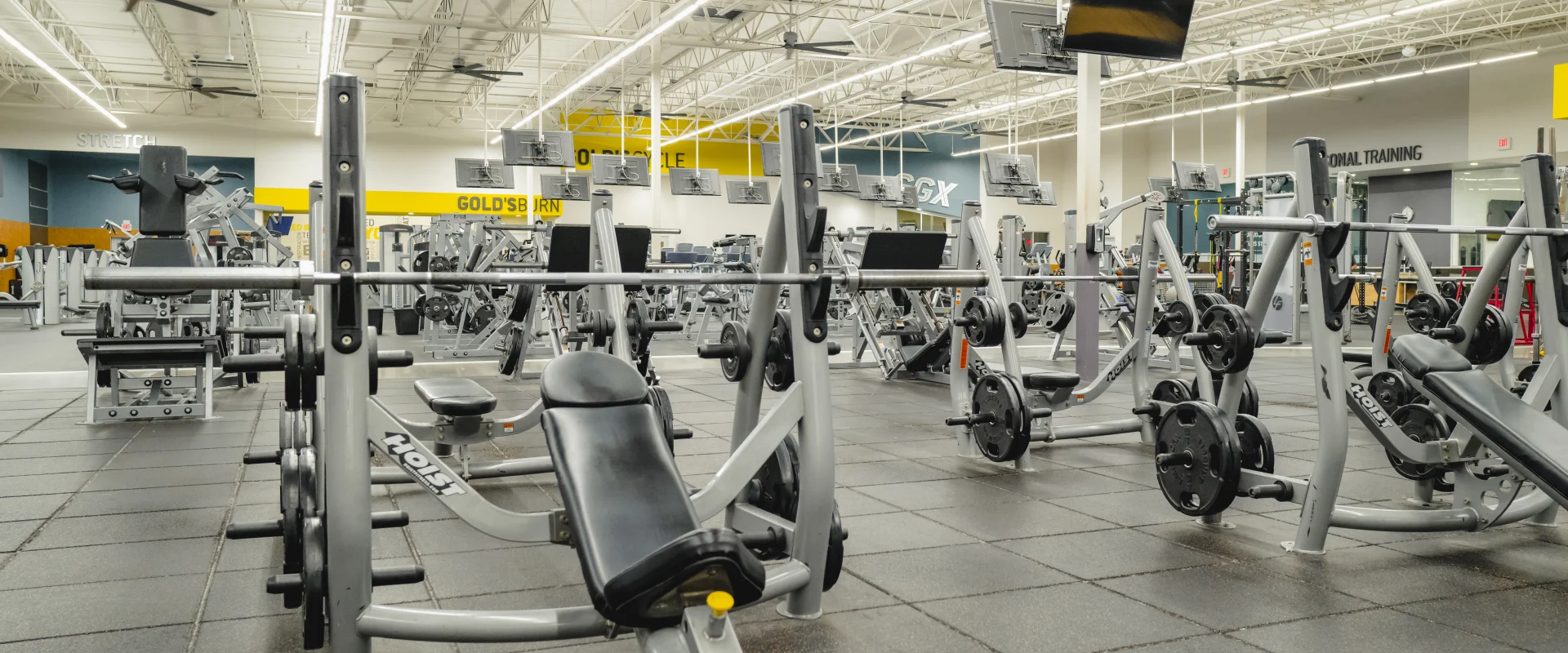 Plate-loaded strength training area at Gold’s Gym featuring gray adjustable bench presses, barbell racks, and weightlifting machines with weight plates. The space is brightly lit with ceiling-mounted TVs, polished black flooring, and a vibrant atmosphere highlighted by yellow and blue wall accents.