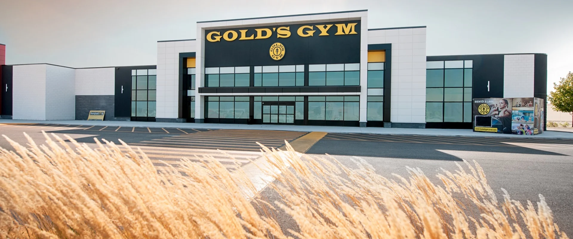 Exterior view of Gold’s Gym Laval with a modern black-and-white facade, tall glass windows, bold yellow signage, and landscaped grasses in the foreground under a sunny sky.