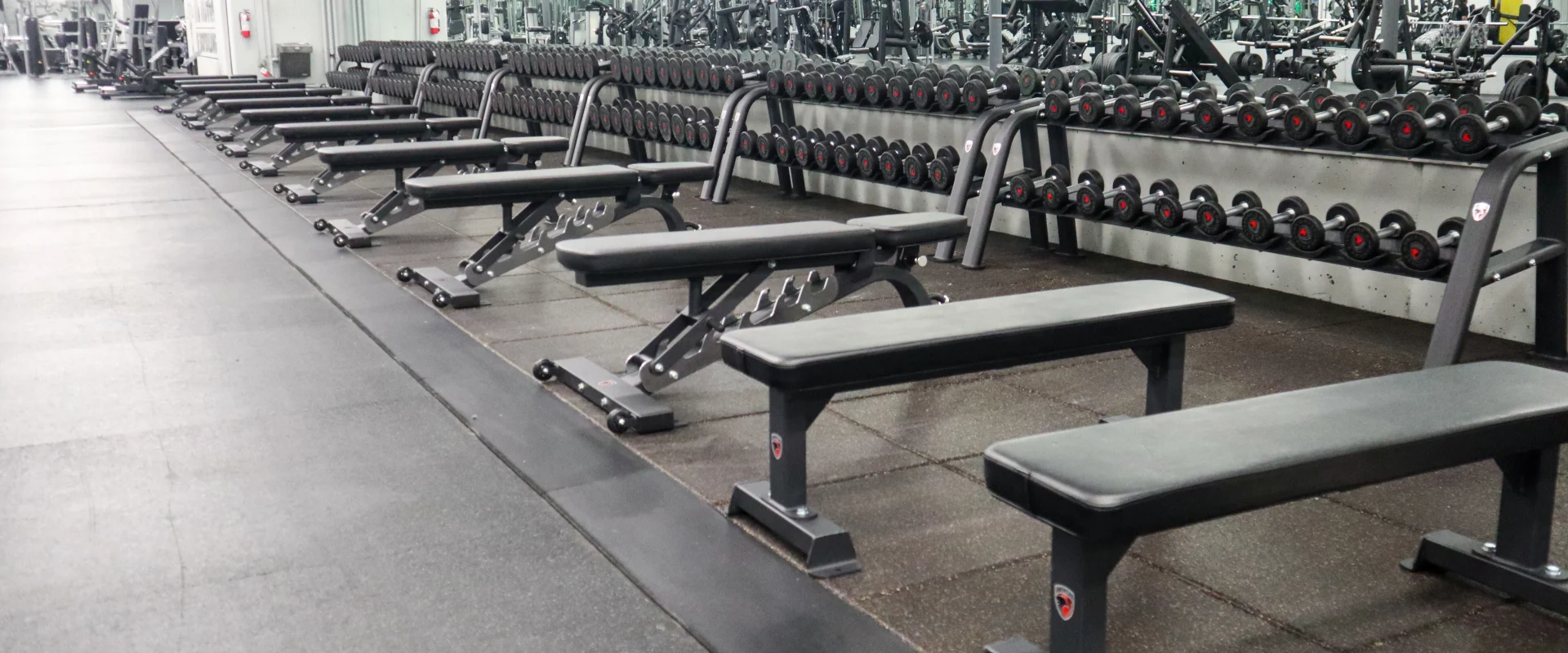 Free Weight and Strength Area