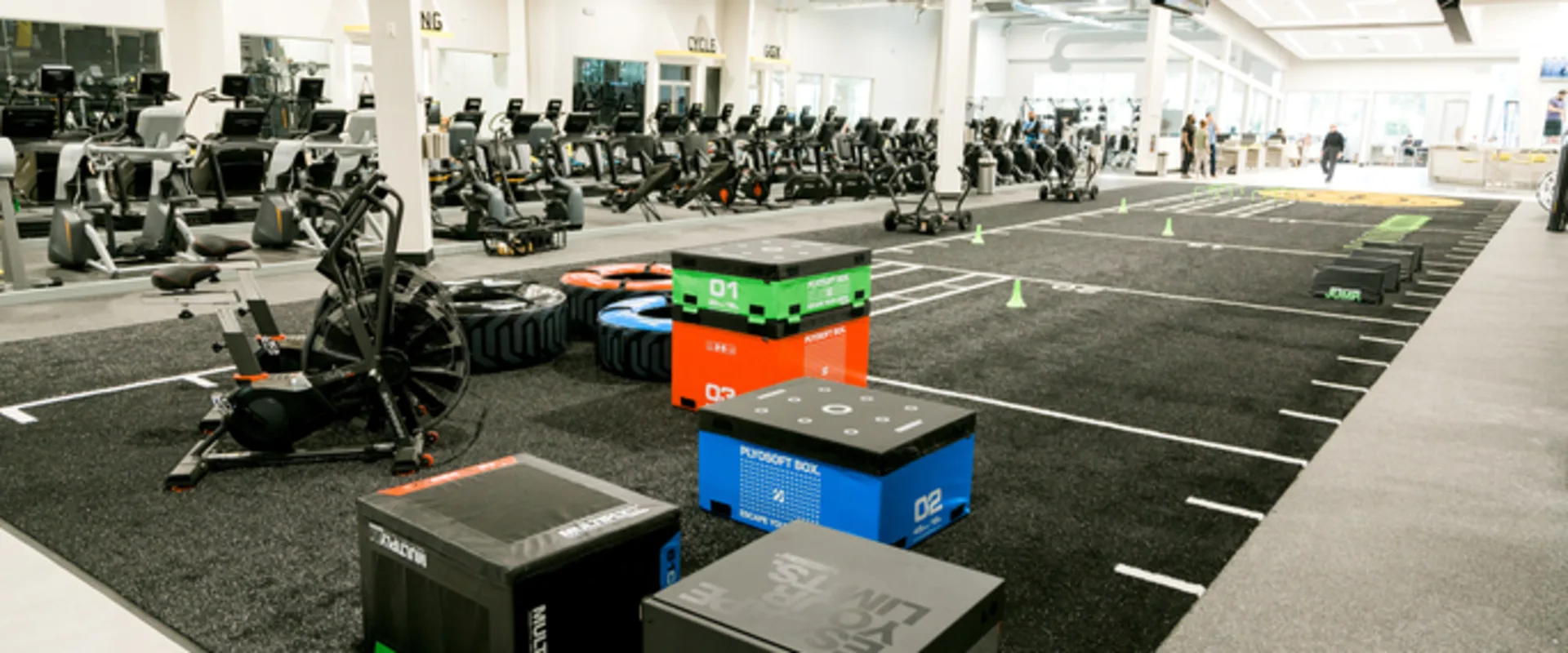 Large Functional Area