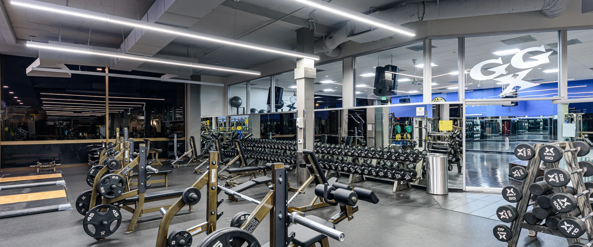 SB UPTOWN Free Weights
