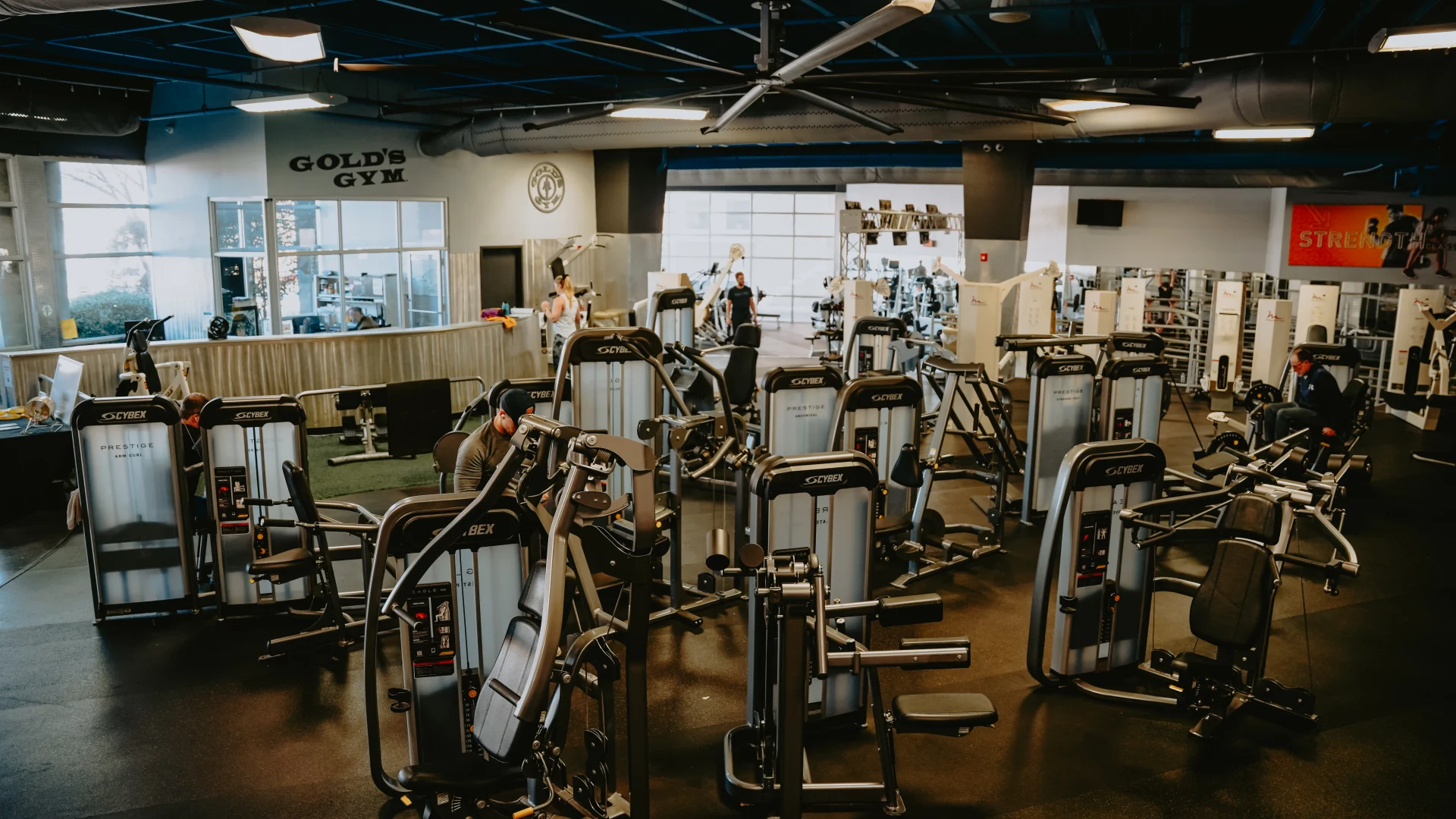 Machine weights area at Gold’s Gym Tennessee, Downtown Chattanooga, showcasing a variety of equipment arranged on a dark rubber floor. The space features a high ceiling with exposed blue ducts and a large ceiling fan, providing ample ventilation. Natural light streams in through the expansive windows, while the front desk and Gold’s Gym signage are visible in the background, adding to the gym's welcoming atmosphere.
