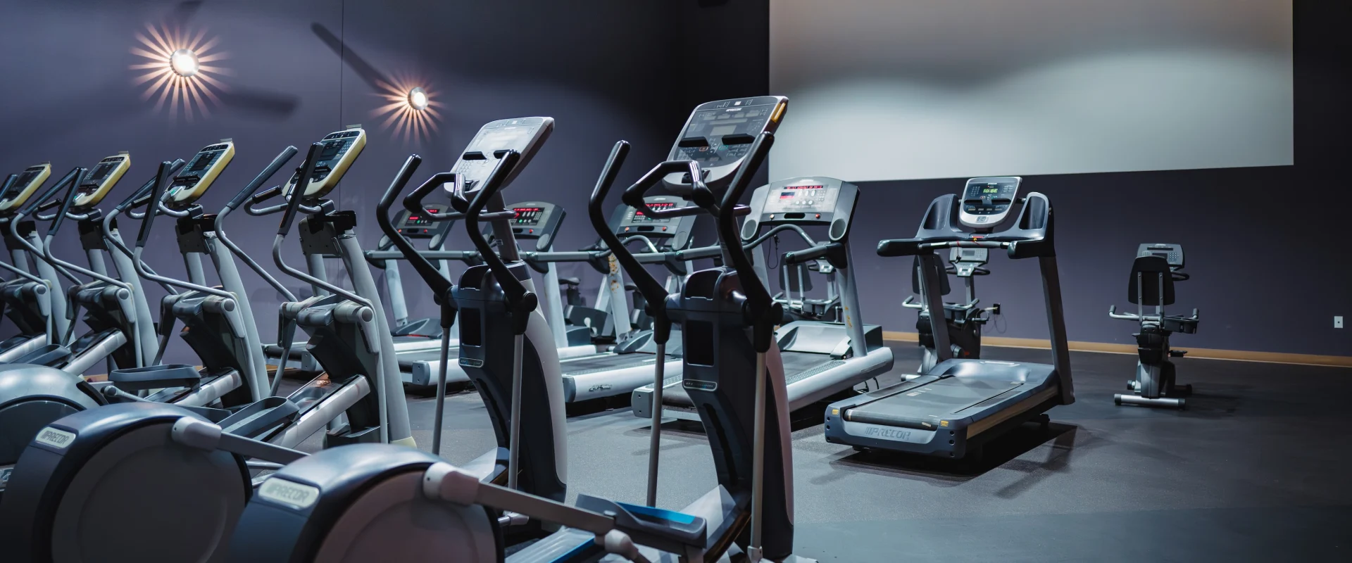Modern gym interior with rows of elliptical machines and treadmills on a dark floor. Soft, ambient lighting creates a calm atmosphere.
