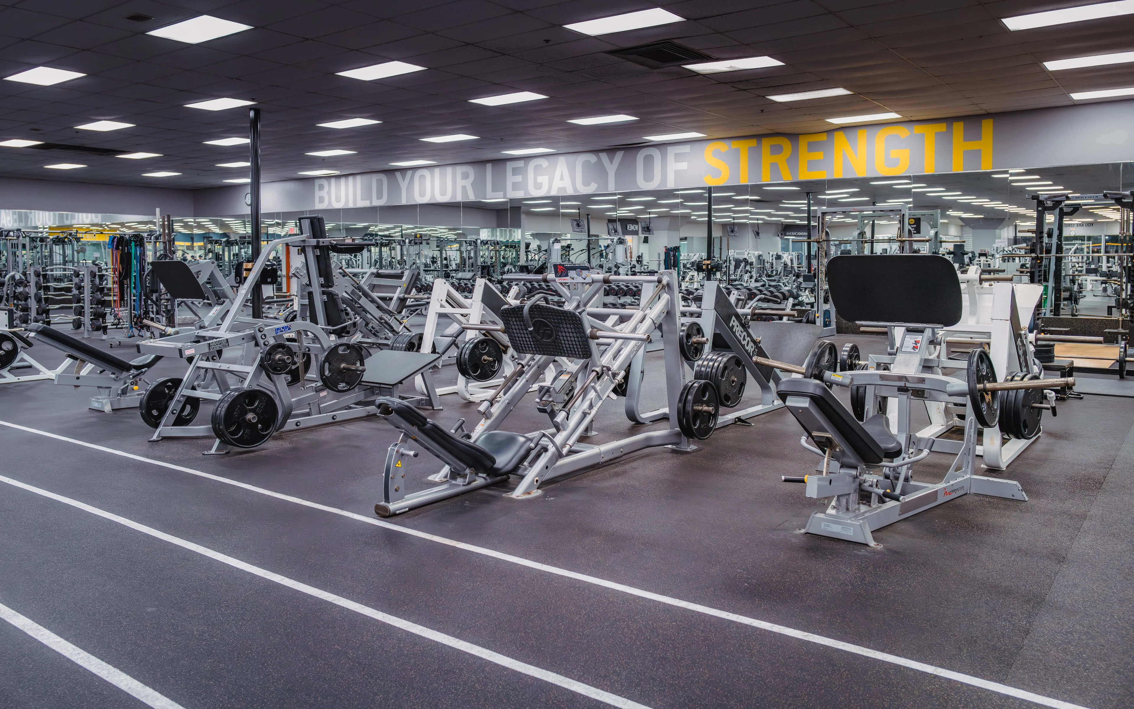 Gold's Gym South Central | Austin, TX 78704 | Strength That Inspires