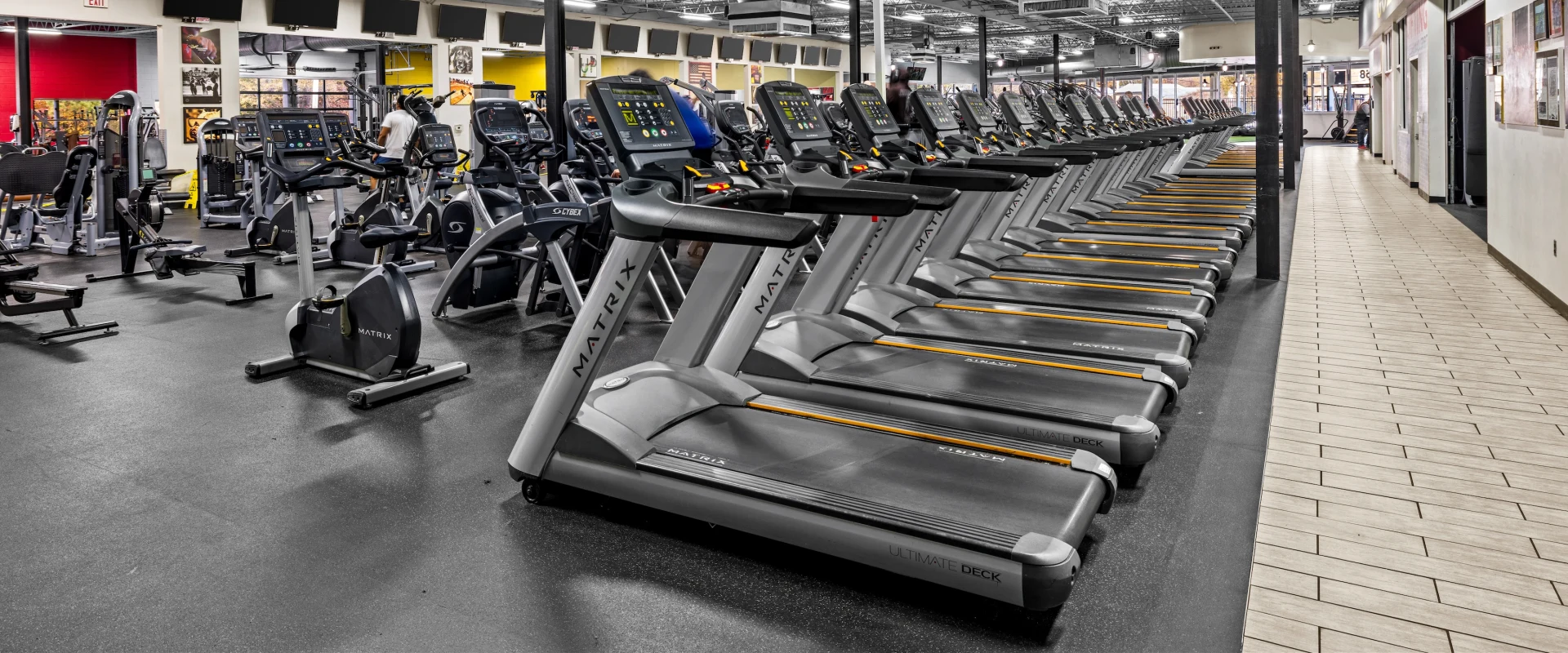 Three lines of cardio equipment.