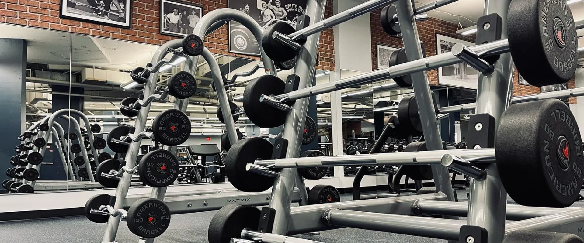 Free Weight Area