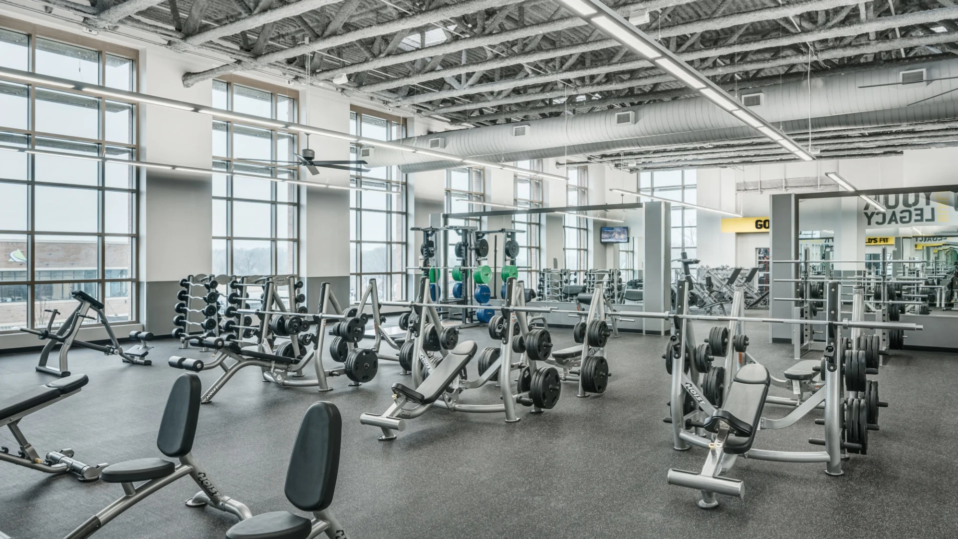 Free Weight Area