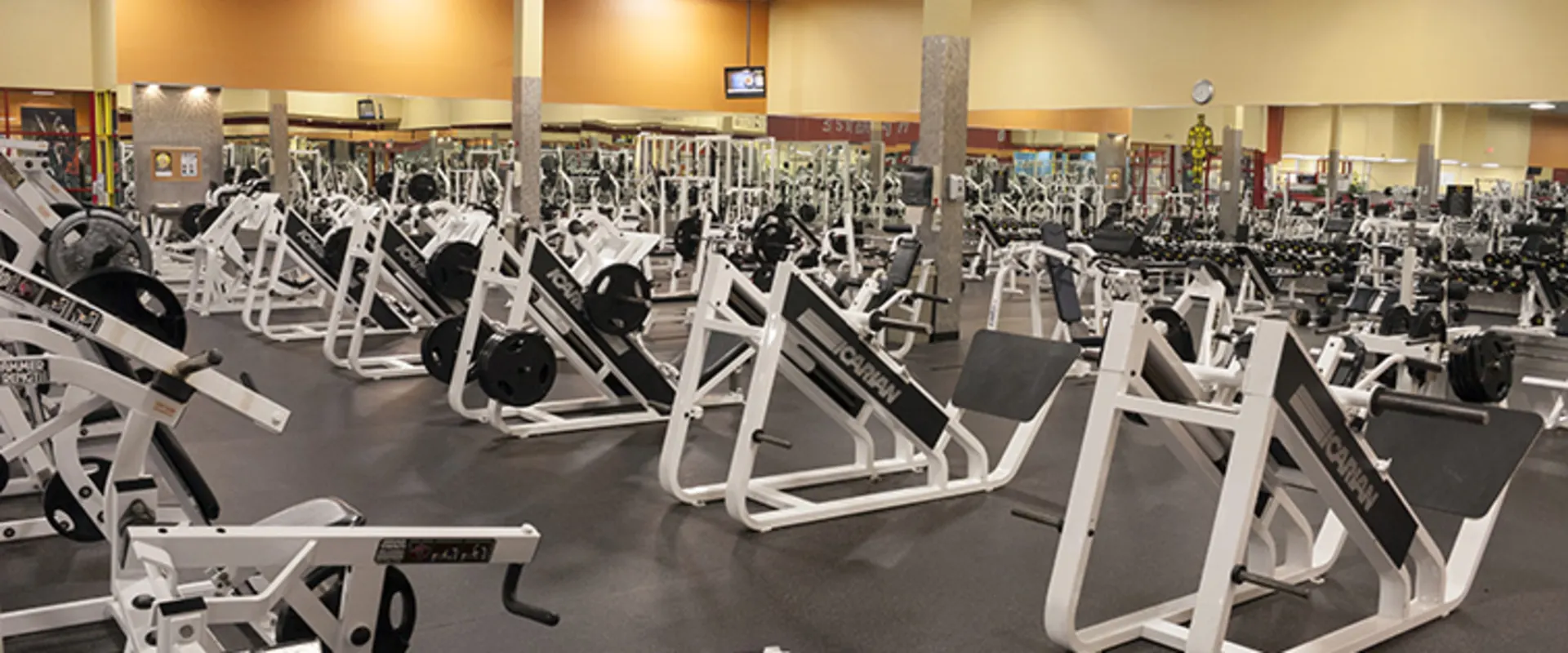 Gold’s Gym San Antonio Goliad (Gold Level) Free Weights