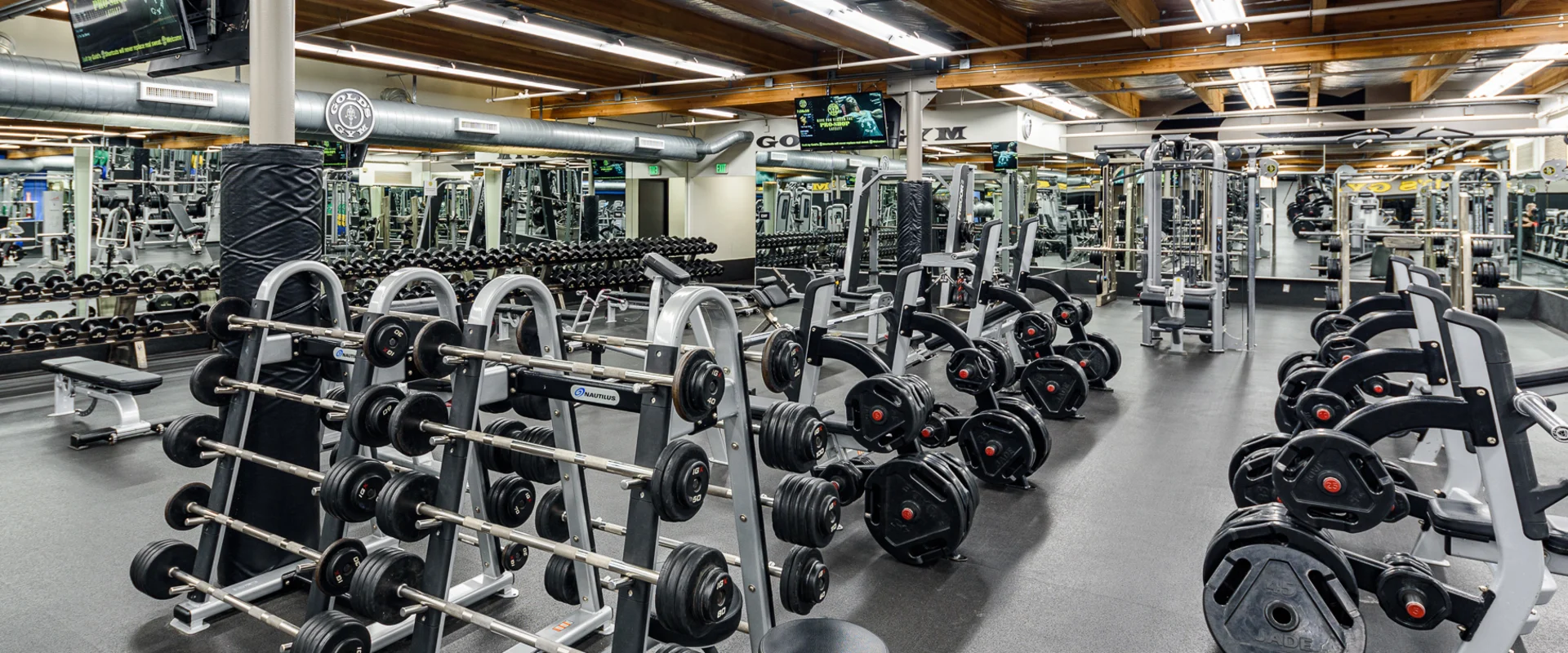 Goleta Weights