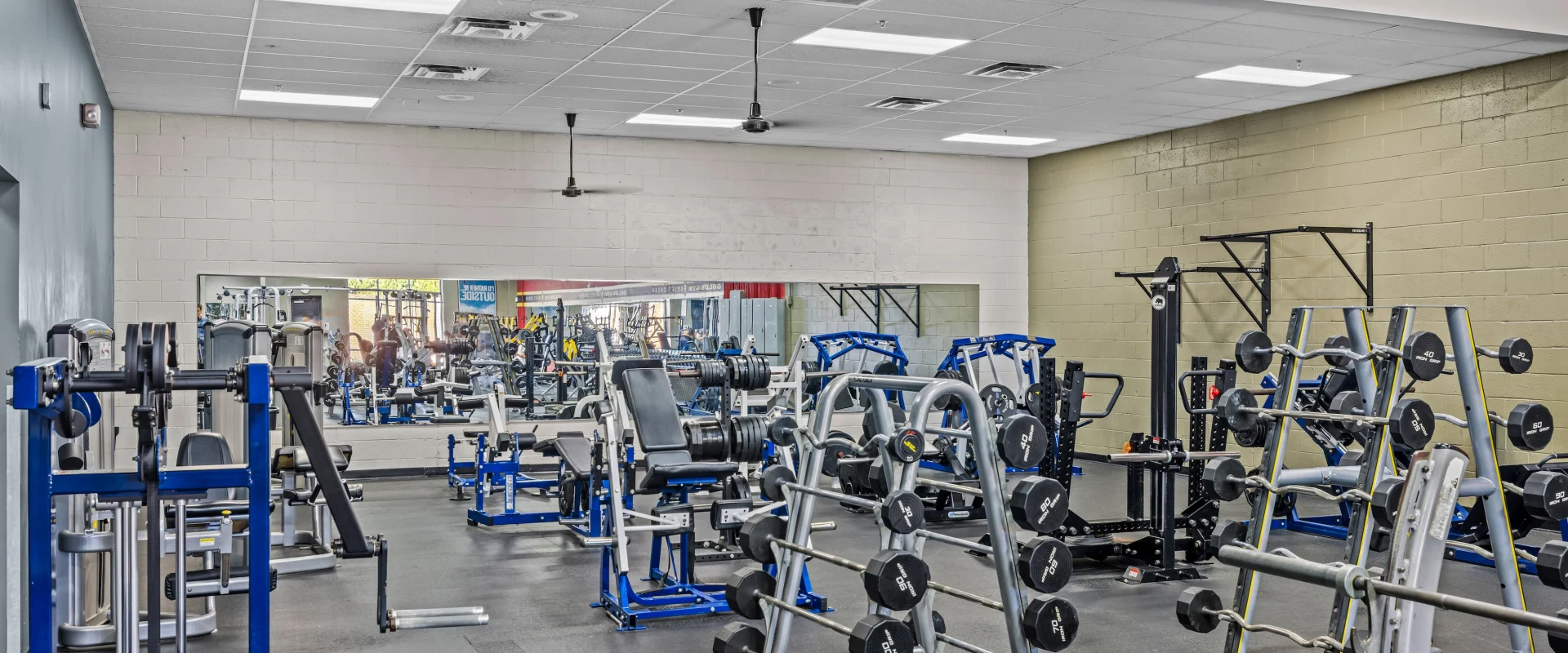 Back left corner beside free weights