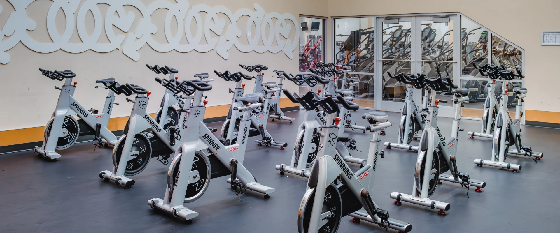 A spacious gym room with multiple white stationary bikes arranged in rows on a dark floor. Mirrors and decorative patterns adorn the walls, creating a structured, energetic ambiance.