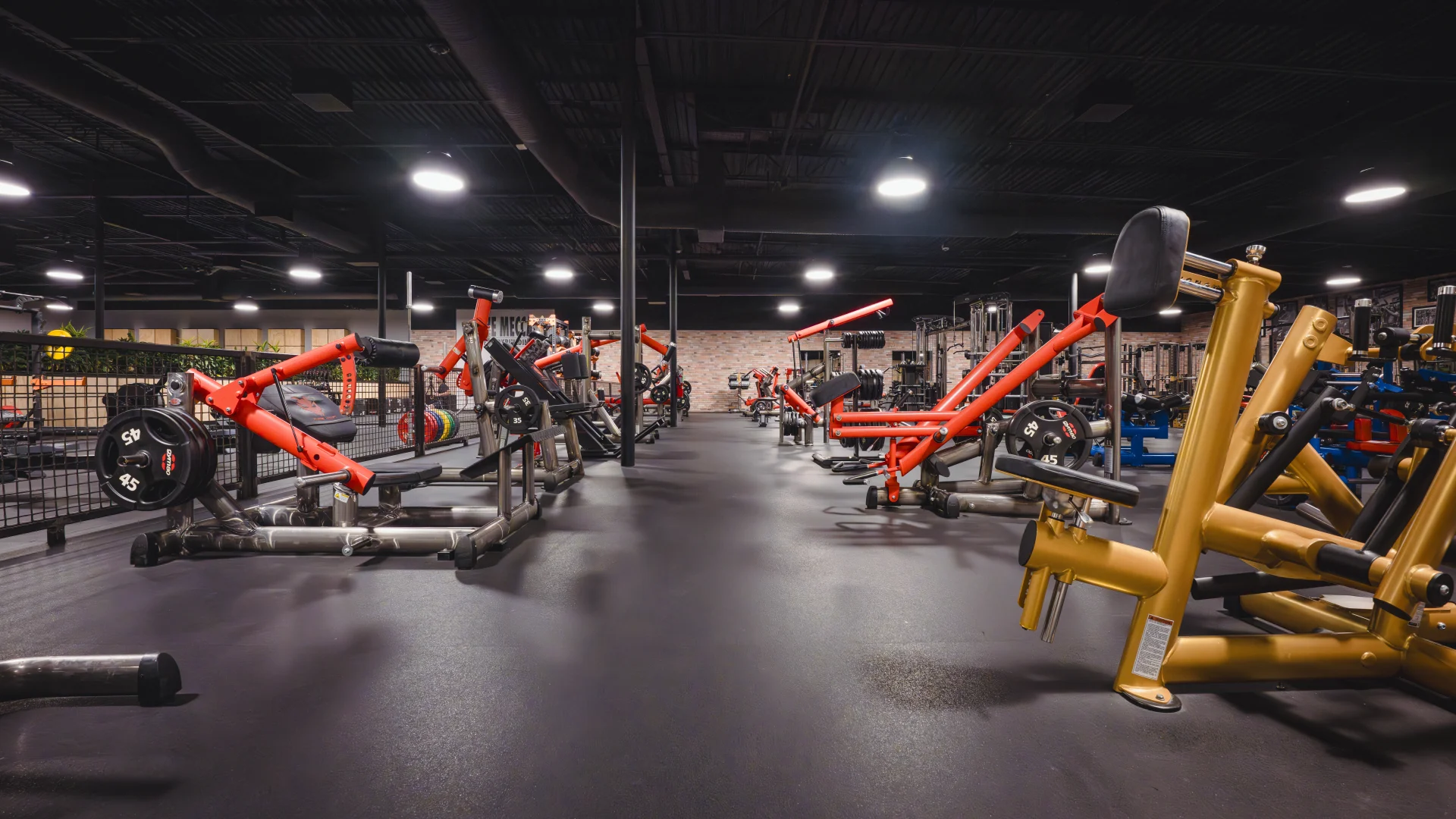 Free weight area at Gold’s Gym Highland Meadows, featuring rows of red and yellow weight machines on a sleek black rubber floor. The space is illuminated by bright industrial lighting against a black open ceiling with exposed beams, with a brick accent wall adding warmth to the background.