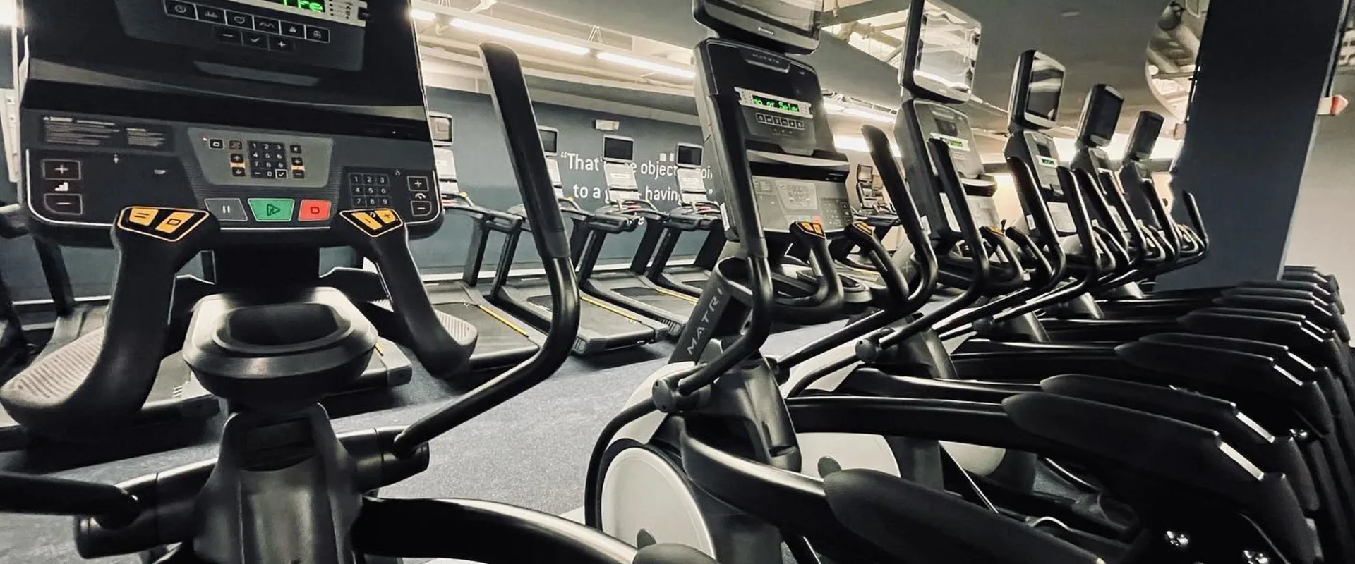 Cardio Equipment