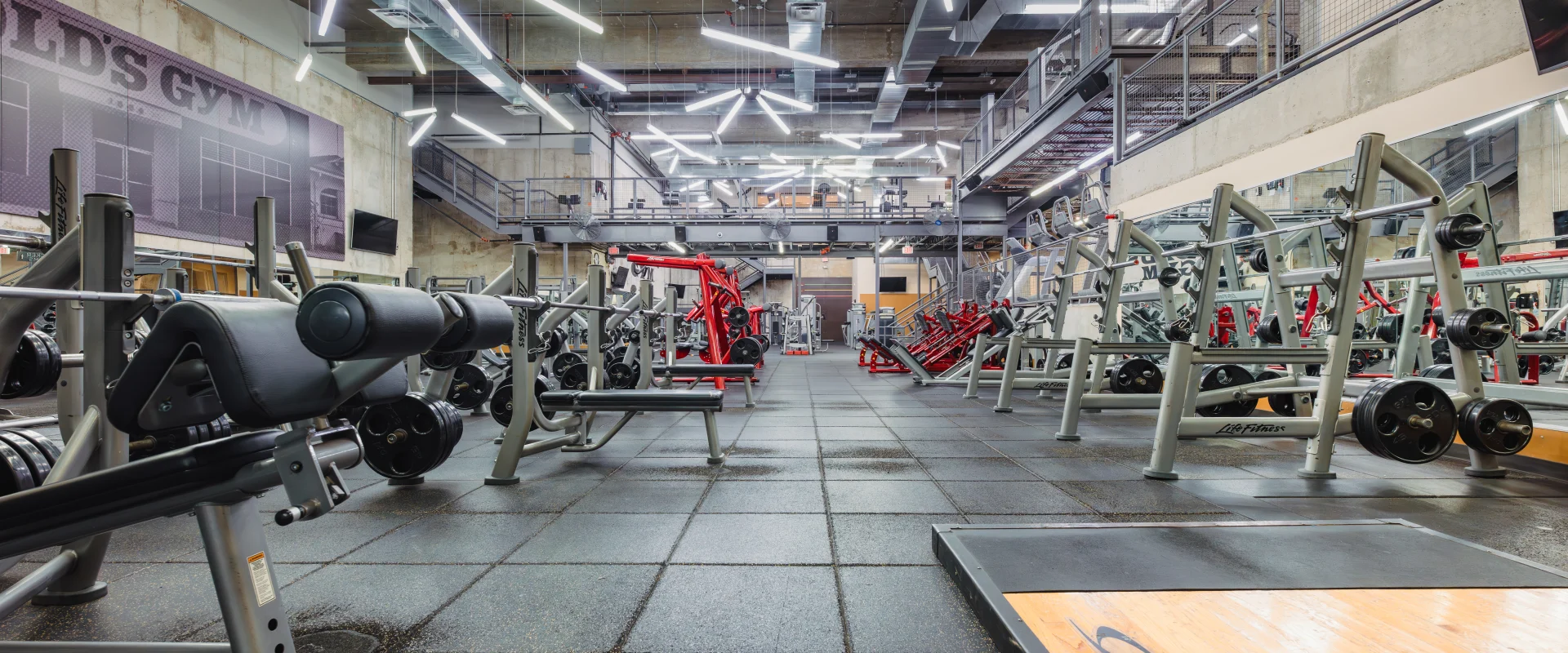 Free weights area at Gold's Gym Austin (Downtown) showcasing weightlifting benches, squat racks, plate-loaded machines and industrial-style lighting in a spacious gym setting.