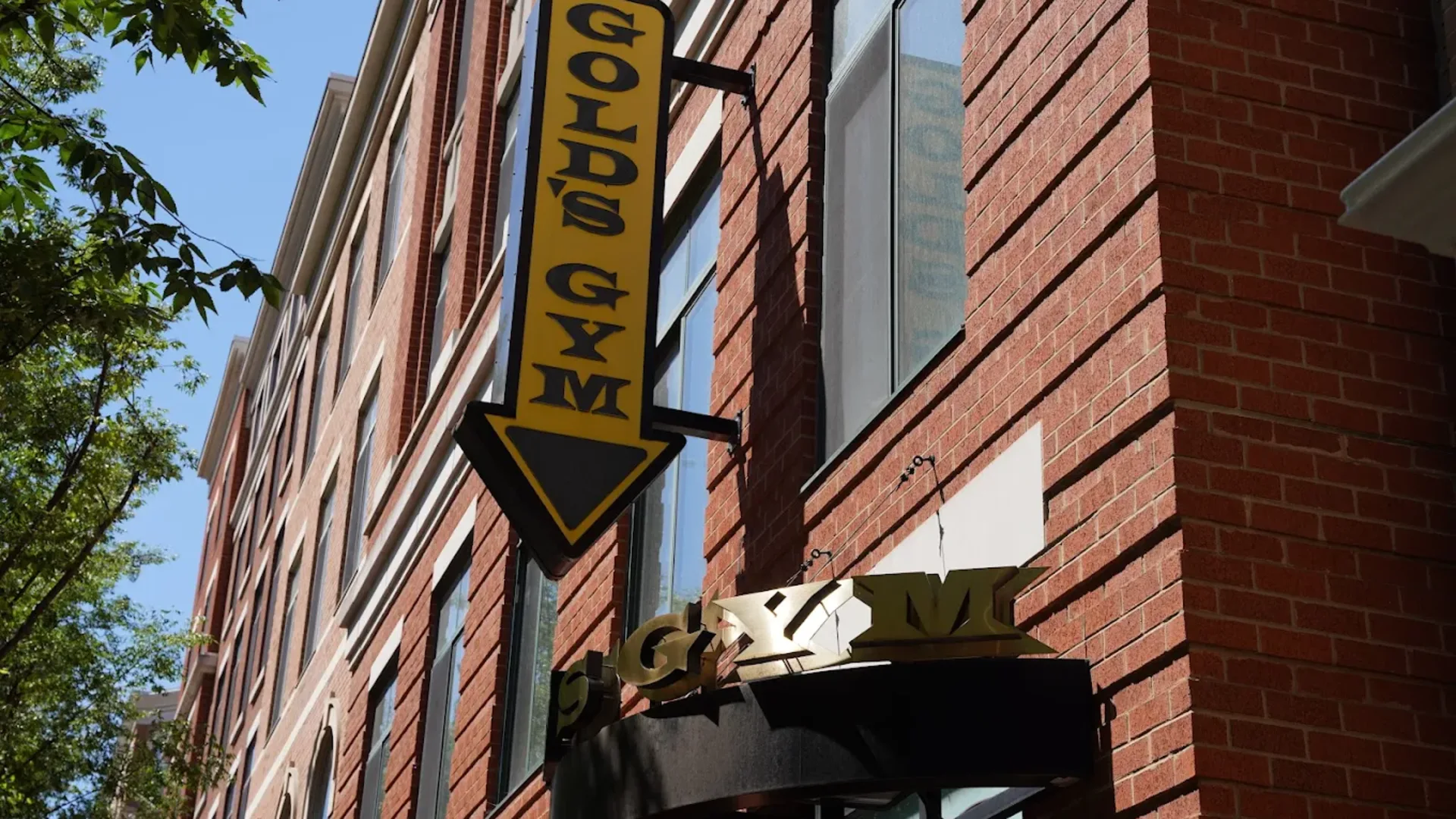 Vertical Gold’s Gym sign on red brick building exterior in Clarendon, Virginia.