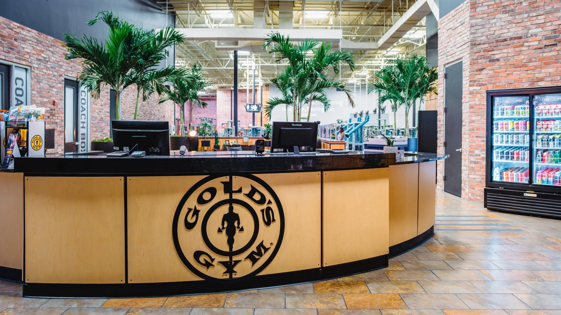 A spacious Gold's Gym entrance area with a curved reception desk displaying the gym's logo, computer monitors on the counter, and tall indoor palm trees behind it. The background shows a bright, open gym floor with exercise machines and high industrial ceilings, while a glass front refrigerator stocked with drinks sits against a brick wall on the right