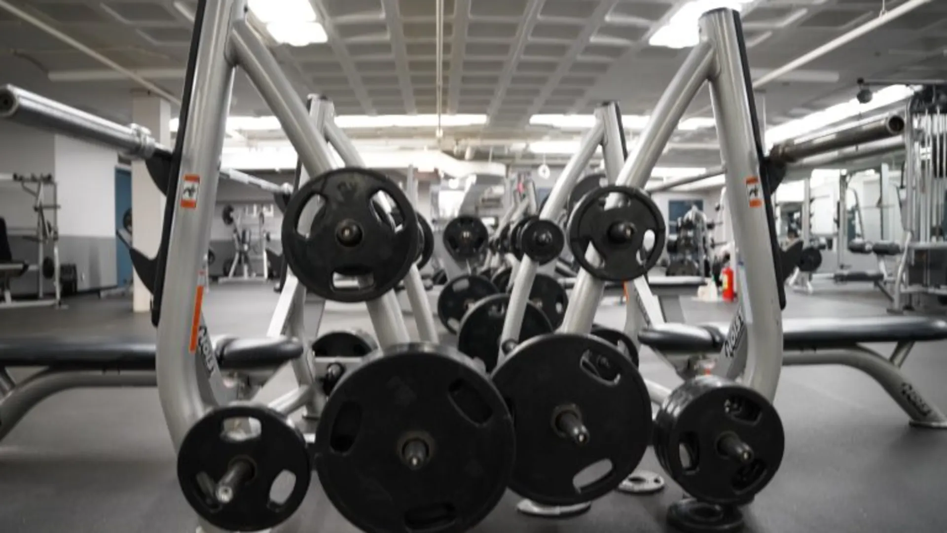 Strength Area