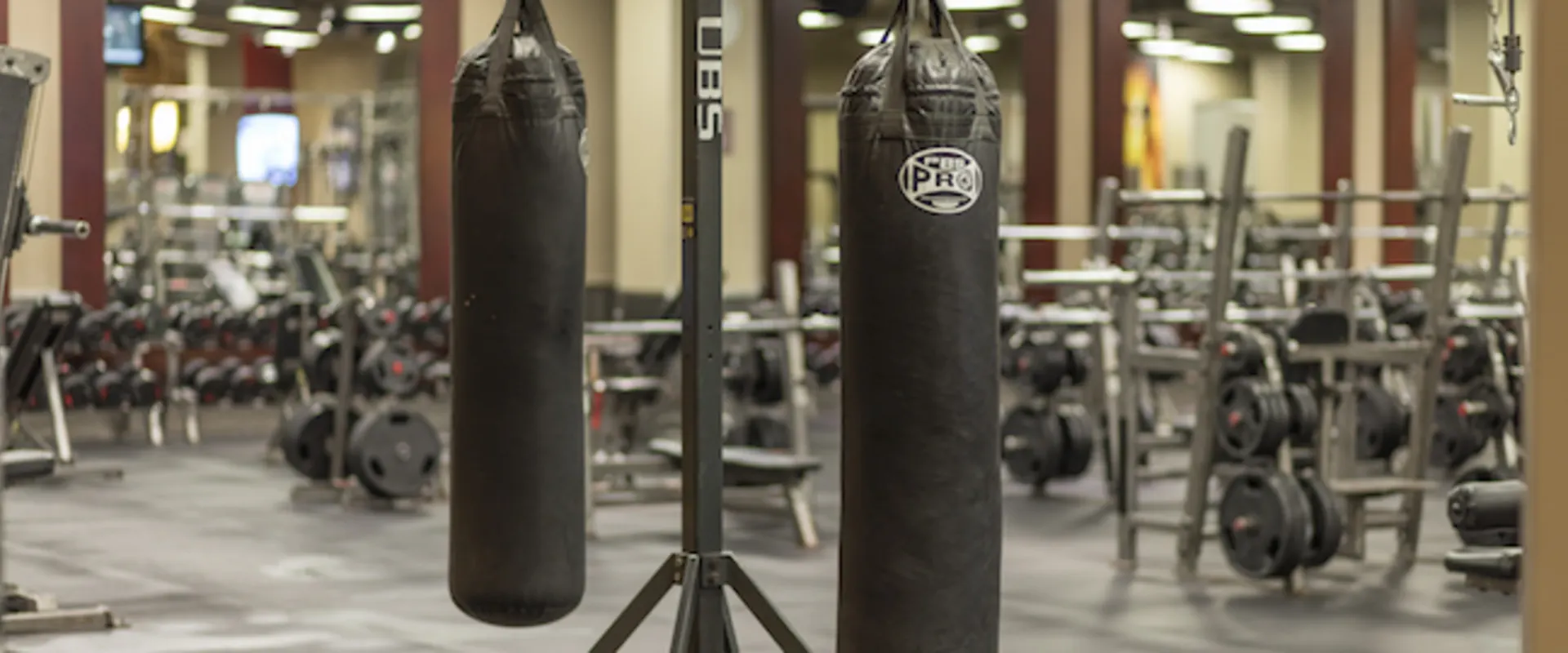 Gold's Gym Downtown Los Angeles punching bags