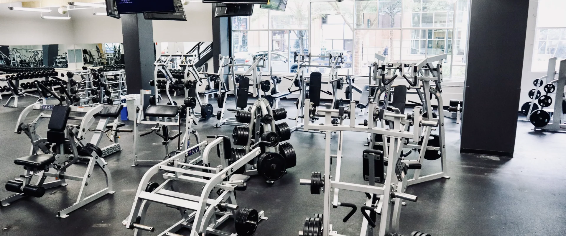 Free Weight and Strength Area