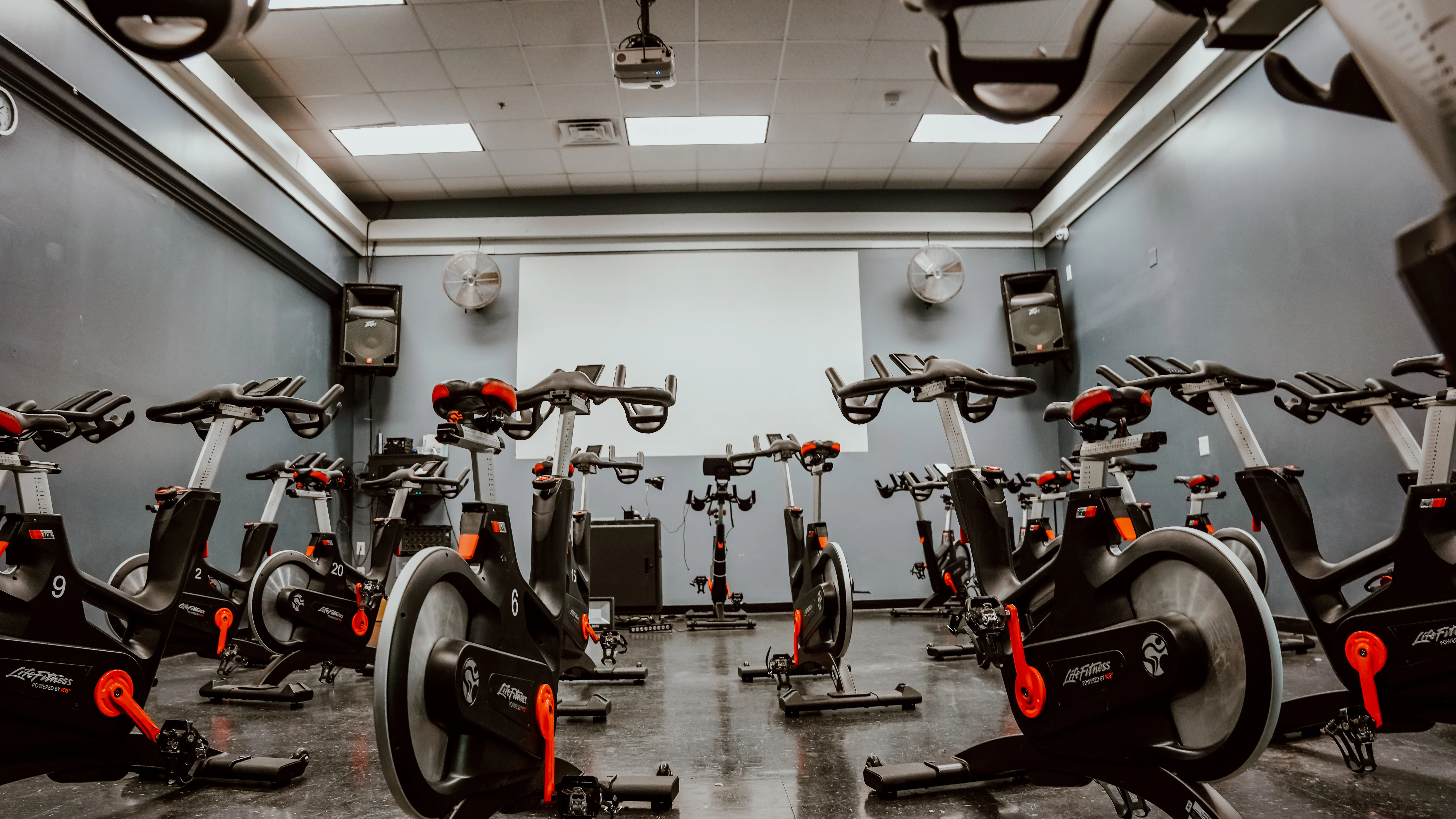 その他 Gold gym tennessee-hixson-machine-