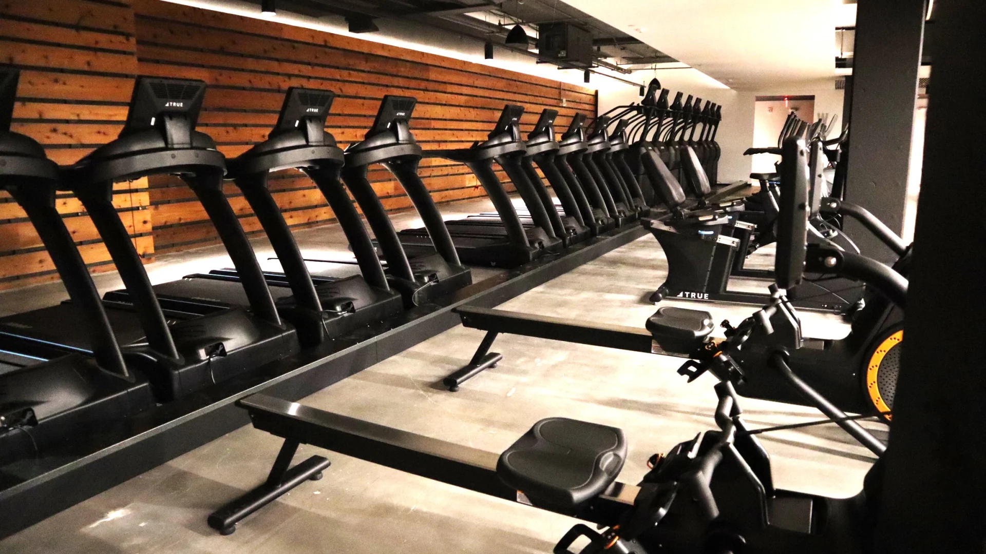 Cardio Area