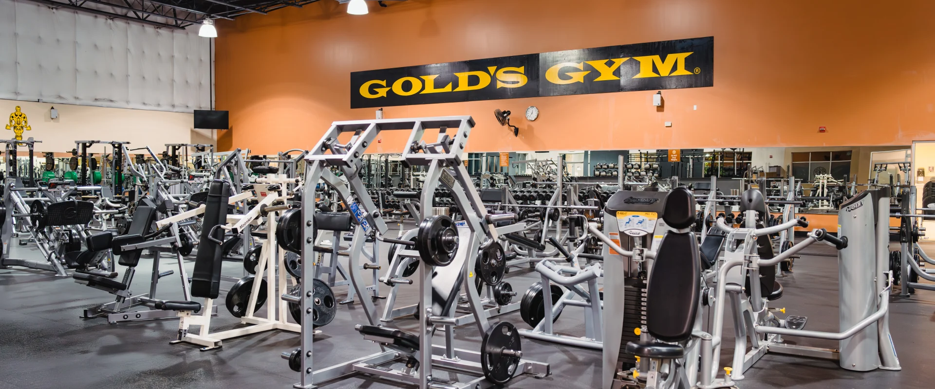 Free weights area at Gold's Gym Austin (Bee Caves) featuring weightlifting machines, benches, and racks of dumbbells along mirrored walls. The space includes branding on the wall, with "Classic Gold's" prominently displayed, and a spacious layout for strength training.