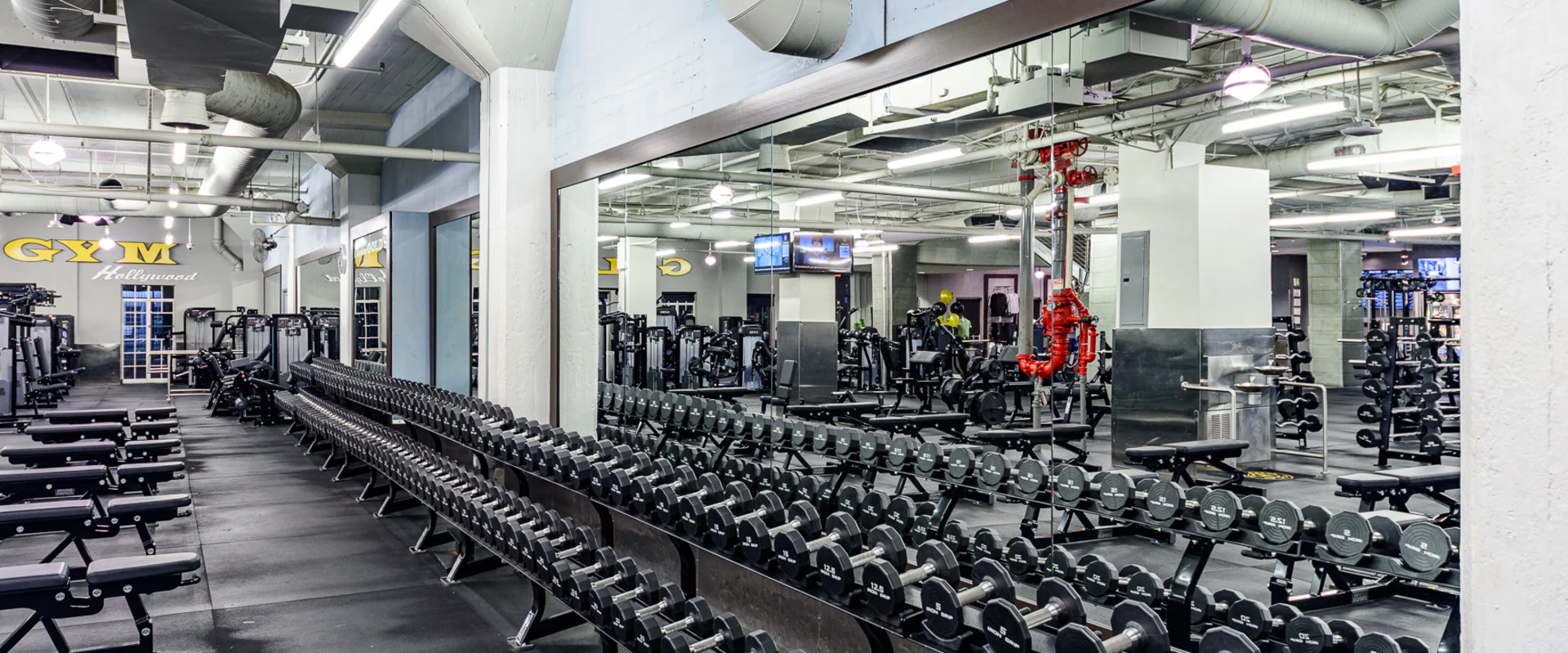 Dumbbell area at Gold’s Gym Hollywood, featuring long racks of silver dumbbells arranged by weight. Adjustable black benches are spaced throughout the workout area on black rubber flooring. Large mirrors line the walls, reflecting the gym equipment and surrounding space. Overhead fluorescent lights illuminate the area, with exposed ductwork and ceiling pipes visible above. A red fire suppression system is mounted near a structural column. In the background, strength machines and a Gold’s Gym Hollywood sign are visible. Wall-mounted TVs display content above the workout area.