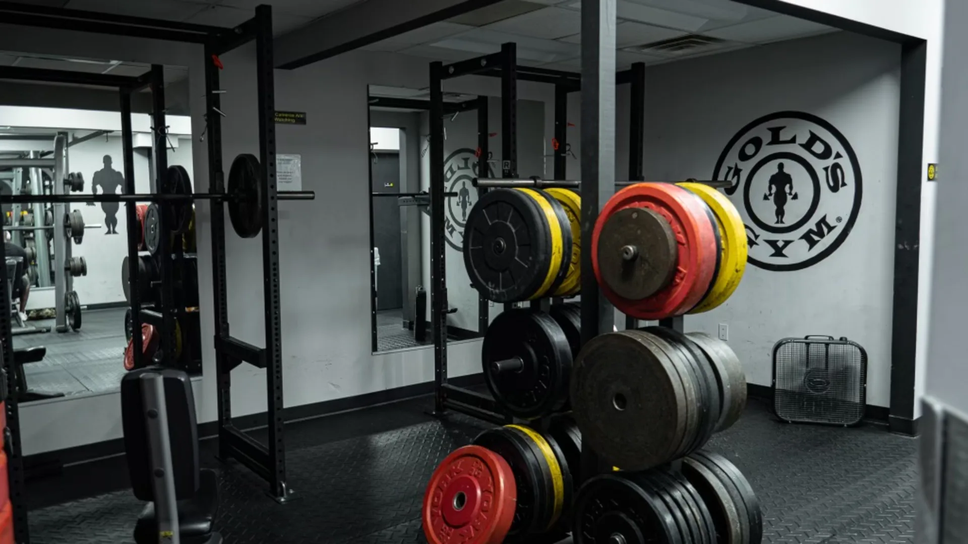 Squat Bay