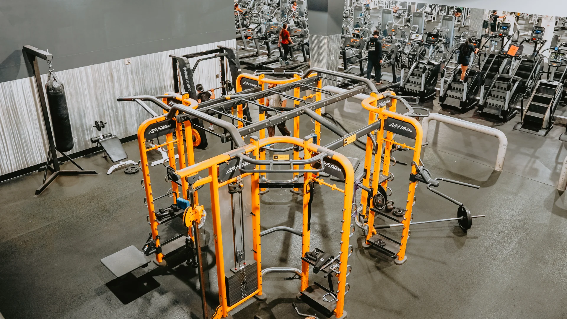 Free weights area at Gold’s Gym Tennessee, Lee Highway, featuring a functional training station with various attachments. Surrounding the station are weight racks, benches, and barbells. The space includes a metallic wall panel and cardio equipment visible in the background. The high ceiling with visible beams and overhead lighting creates an open and bright atmosphere.