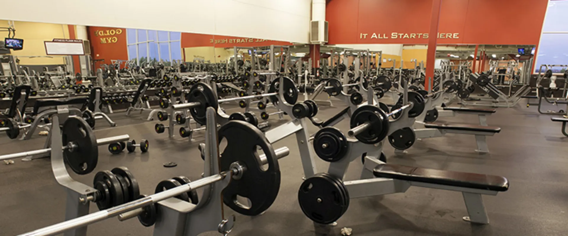 Gold’s Gym San Antonio Fiesta Trails (Gold Level) Free Weights