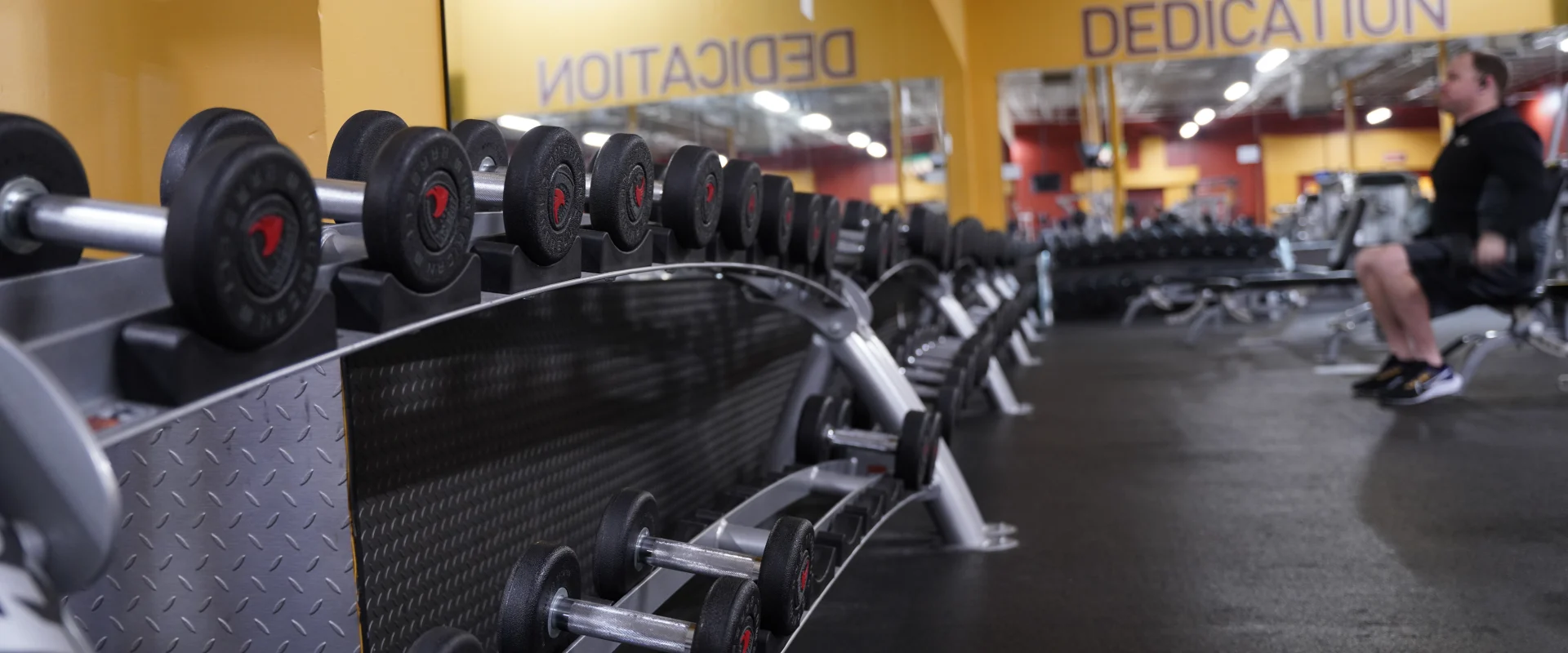 Free Weights