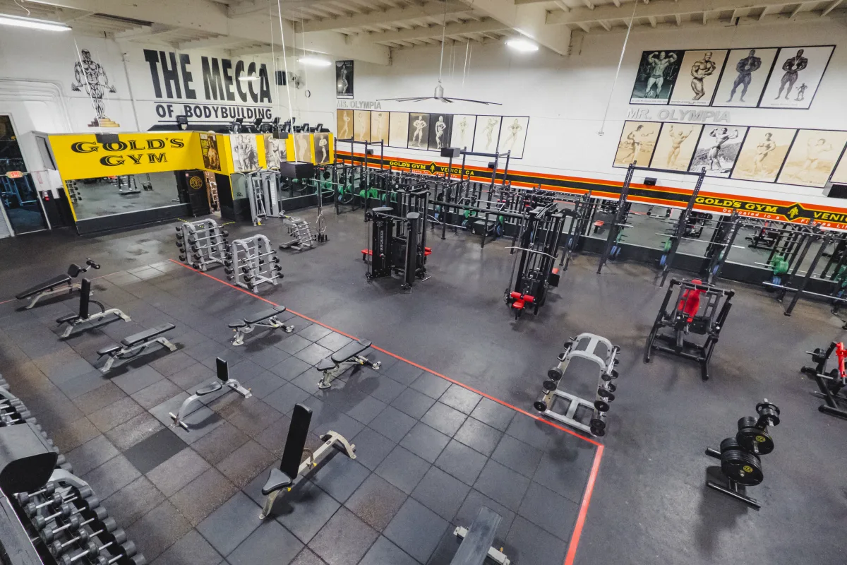 Gold's Gym Venice Venice, CA 90291 Stronger Starts Here