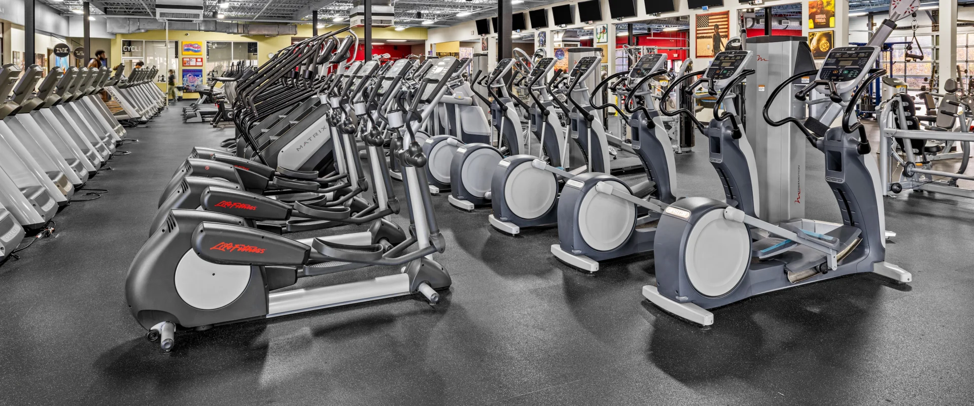 Three lines of cardio equipment.