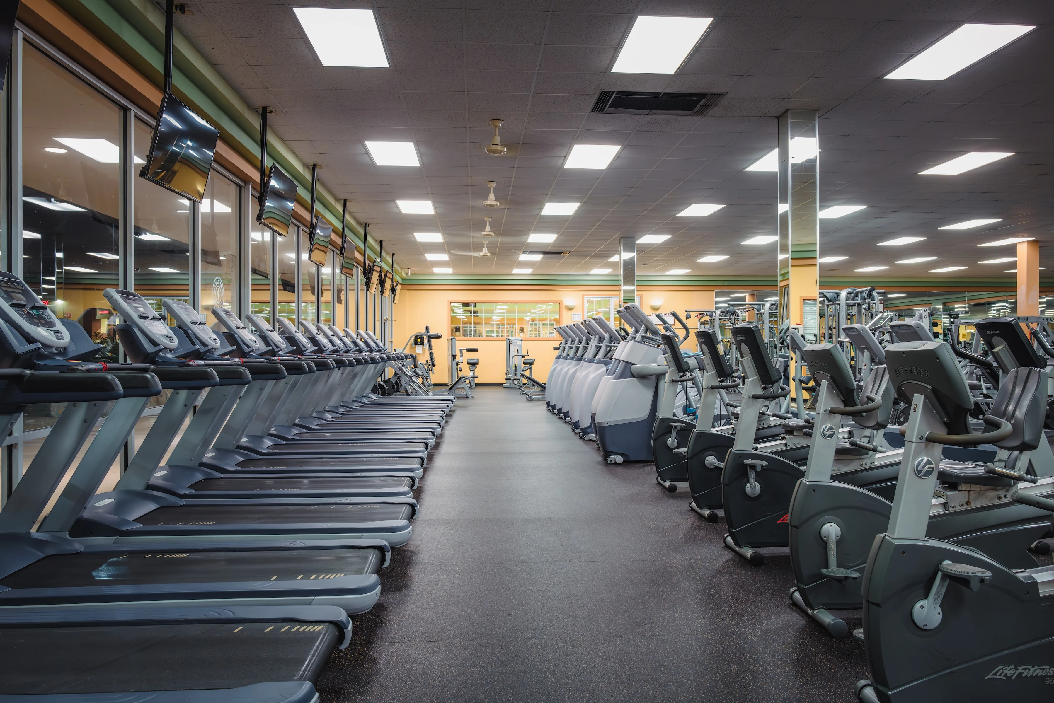 GOLD'S GYM × IRON NERVE Gold's Gym San Antonio Tezel & Guilbeau | TX 78250 | Build Strength