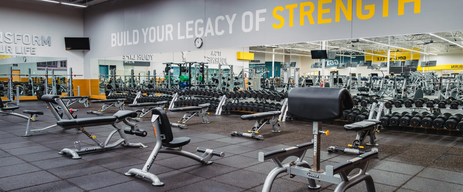 Dumbbell area at Gold’s Gym in Texas (N. Round Rock), featuring multiple racks of neatly organized dumbbells with rubber-coated weights and chrome handles. Adjustable benches are strategically placed for various free weight exercises, including flat, incline, and decline positions. The flooring is covered with thick rubber mats for shock absorption and safety. A large mirrored wall behind the racks enhances visibility for proper form, while motivational text reading “BUILD YOUR LEGACY OF STRENGTH” spans across the upper wall. In the background, additional strength training equipment and plate-loaded machines are visible, creating a dynamic and well-equipped workout space.