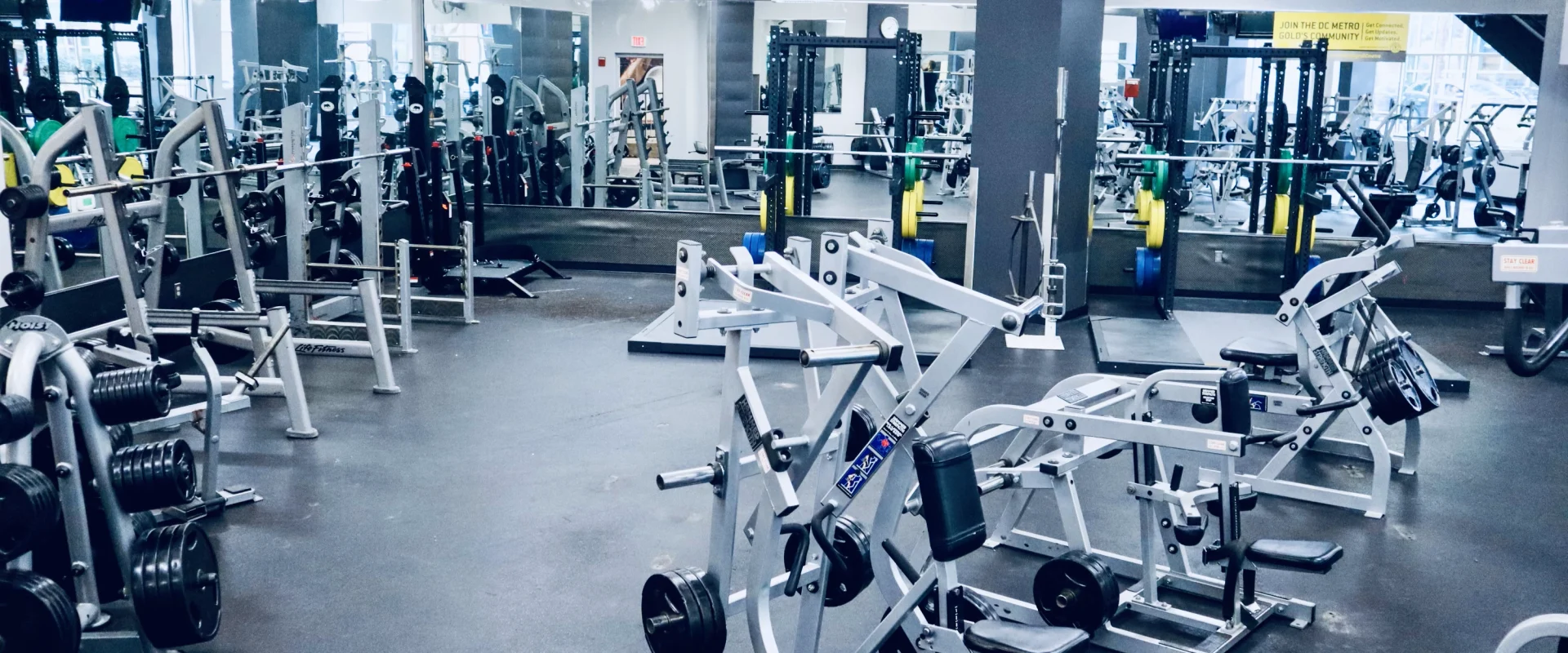 Free Weight and Strength Area