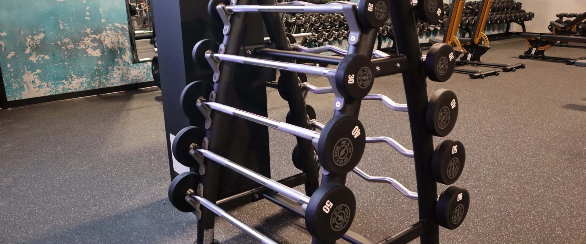 Free weights area at Gold’s Gym Canada, Buffalo Run, Alberta, featuring a neatly arranged rack of preloaded barbells ranging from 20 to 60 pounds. The space includes a durable rubberized floor for shock absorption and a textured teal wall, known as the Venice Wall, adding a bold design element. Large wall mirrors enhance the open feel, reflecting additional equipment and workout spaces in the background.