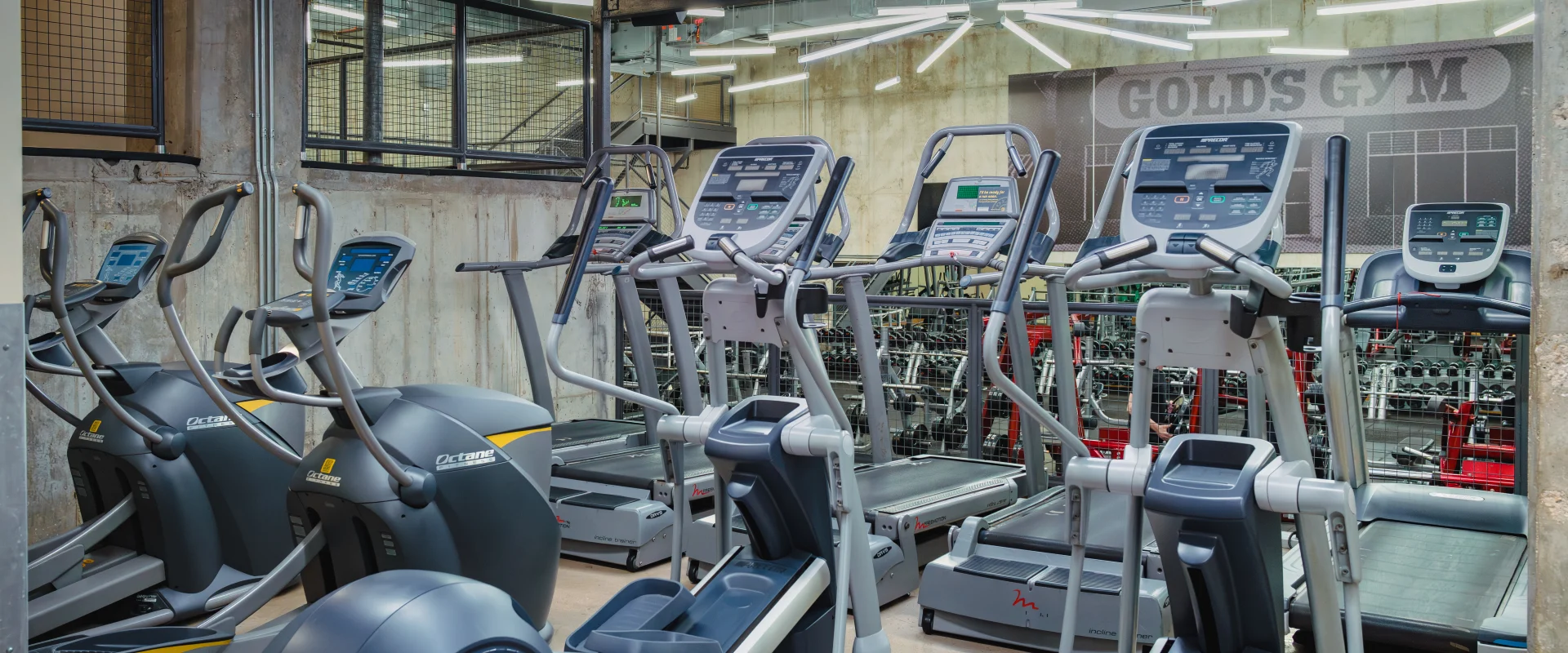Cardio area at Gold's Gym Austin (Downtown), featuring running treadmills, various elliptical machines, and a large glass window at the front offering a view of the free weights area.