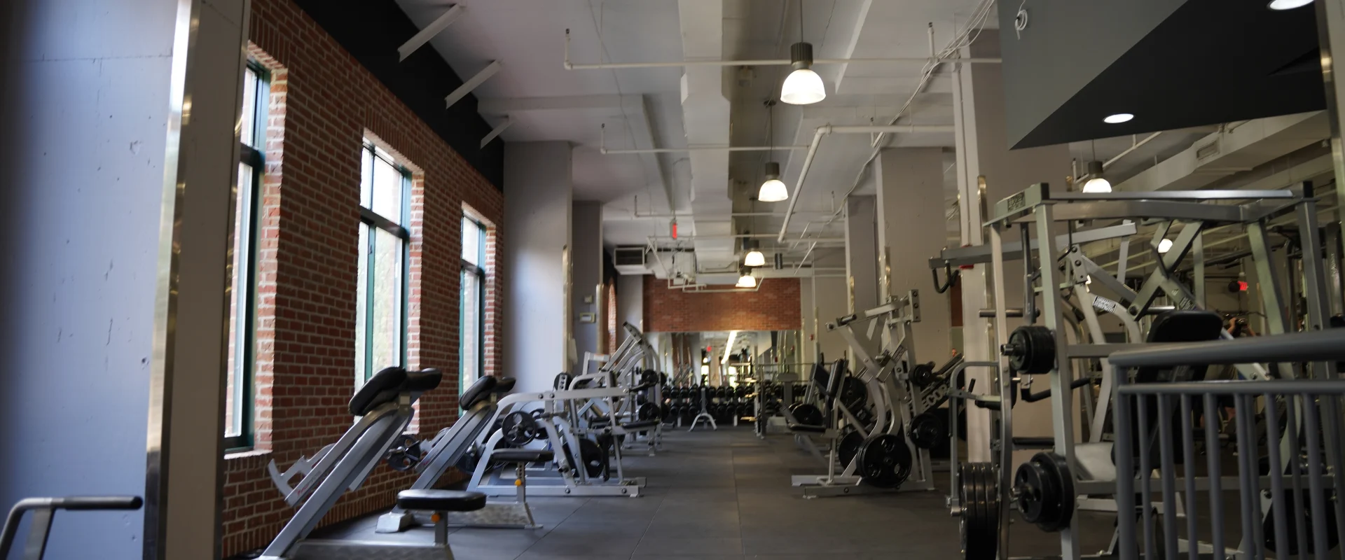 Plate Loaded Machines