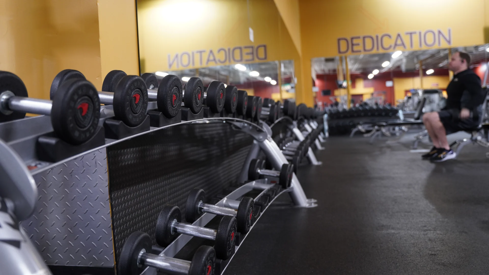 Free Weights