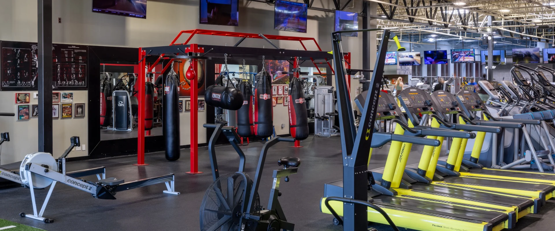 Echo Bike, Treadmills, rowing machine, boxing rig, ski erg