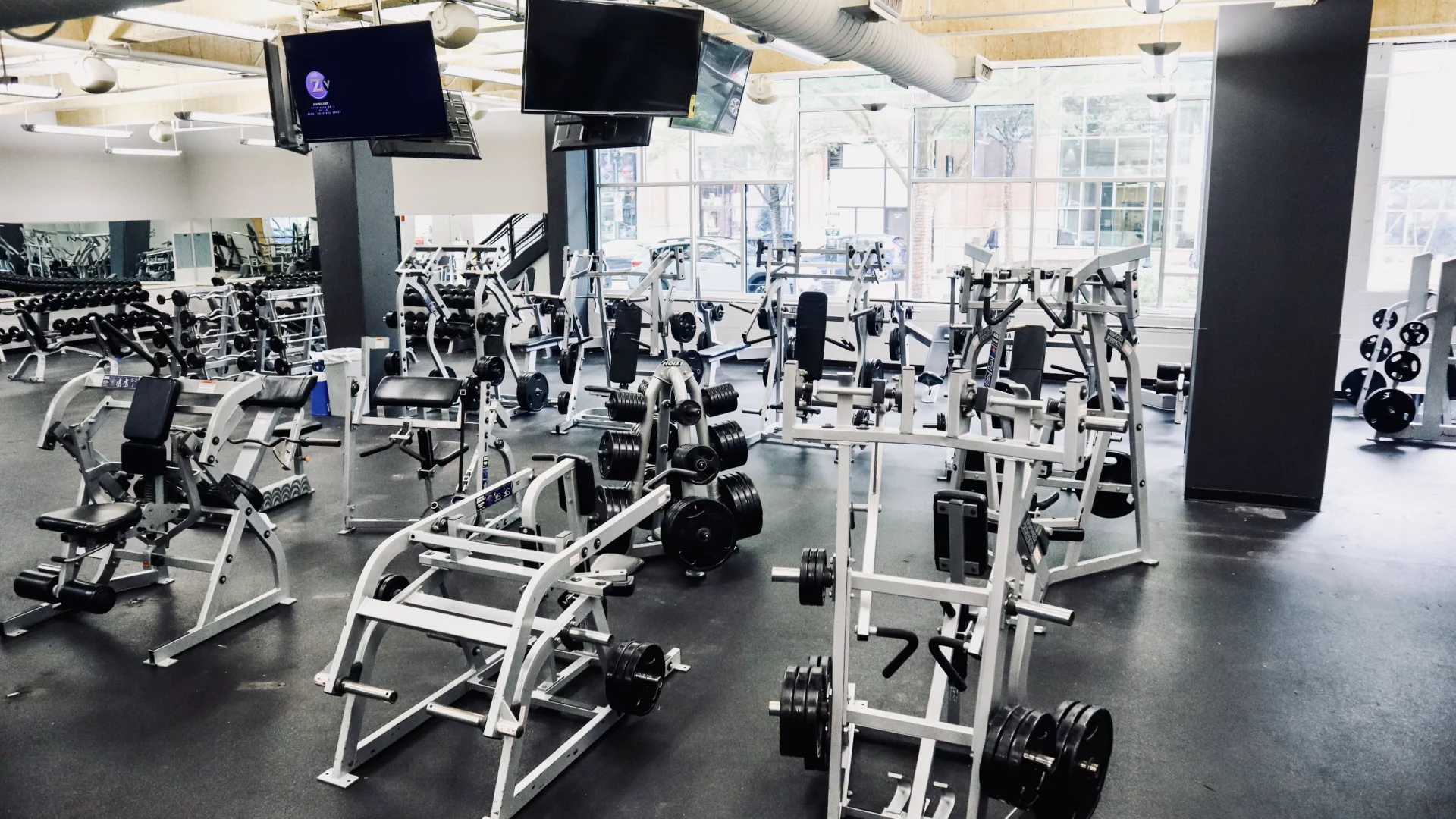 Free Weight and Strength Area