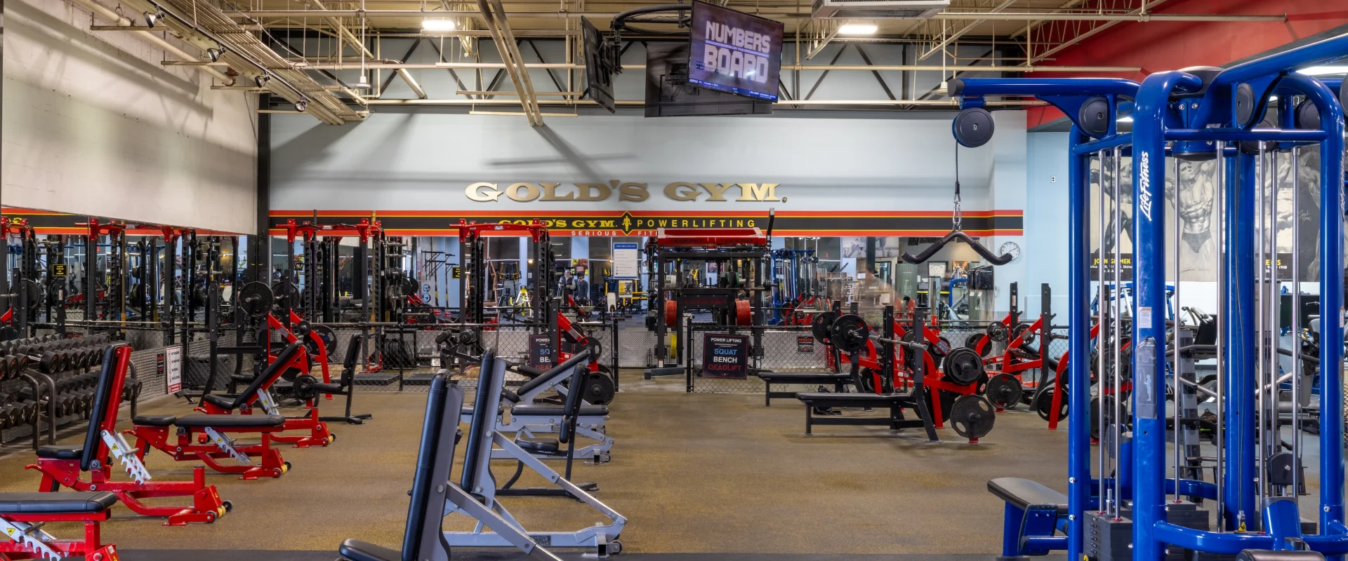 free weights, dumbbells, cable machines,