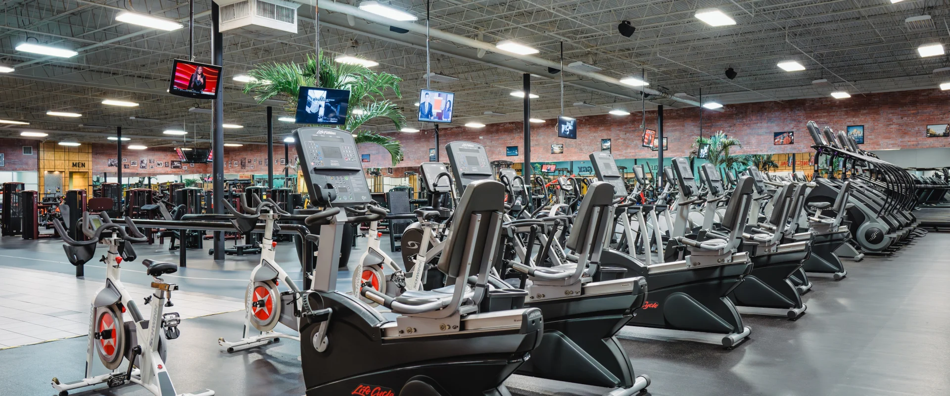 Cardio equipment at Gold's Gym Crossroads include rows of stationary bikes and ellipticals on a polished floor, under bright lighting. TVs and plants add a modern, energetic vibe.