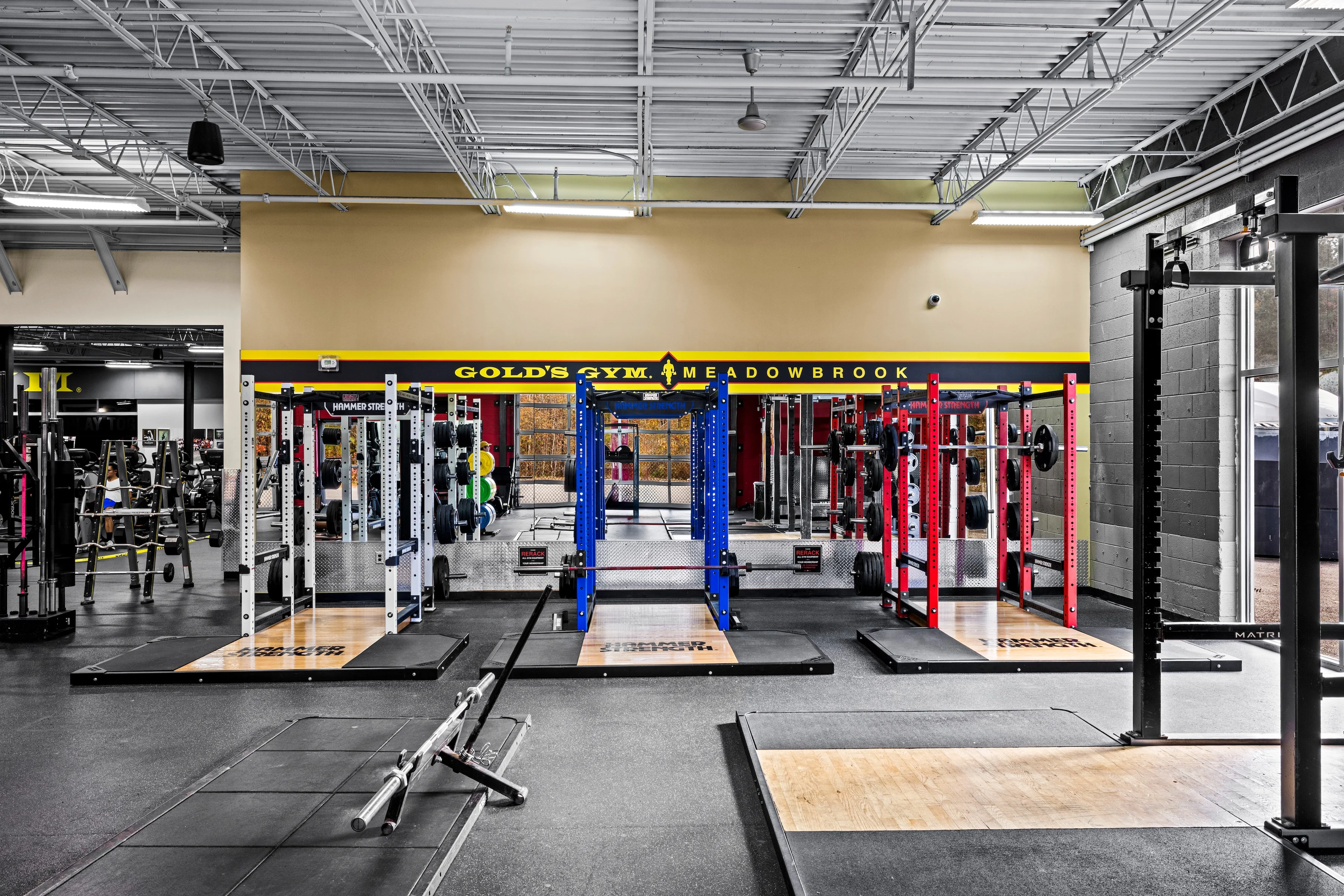 アメリカ限定　Gold gym Gold's Gym Meadowbrook | Meadowbrook, VA 23234 | Stronger Starts Here